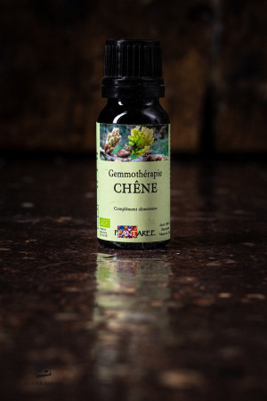 CHÊNE GEMMOTHERAPIE BIO