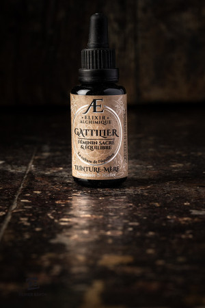 GATTILIER