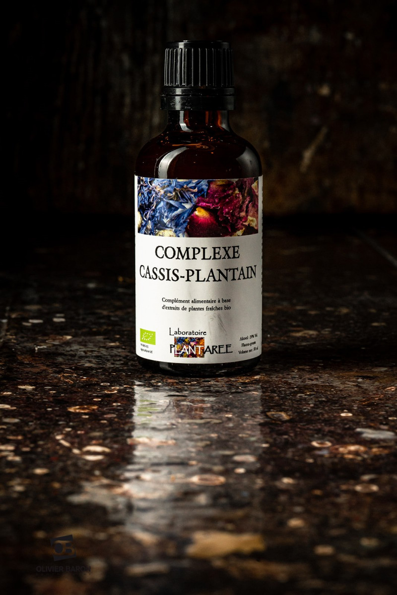 Extrait hydroalcoolique de CASSIS PLANTAIN BIO