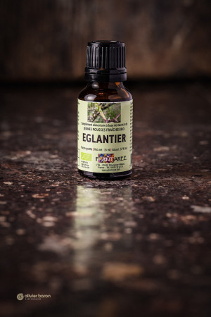 EGLANTIER GEMMOTHERAPIE BIO