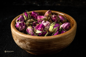 ROSE de Damas BIO