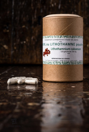 MAERL ou LITHOTHAMNE gélules - Phymatolithon calcareum