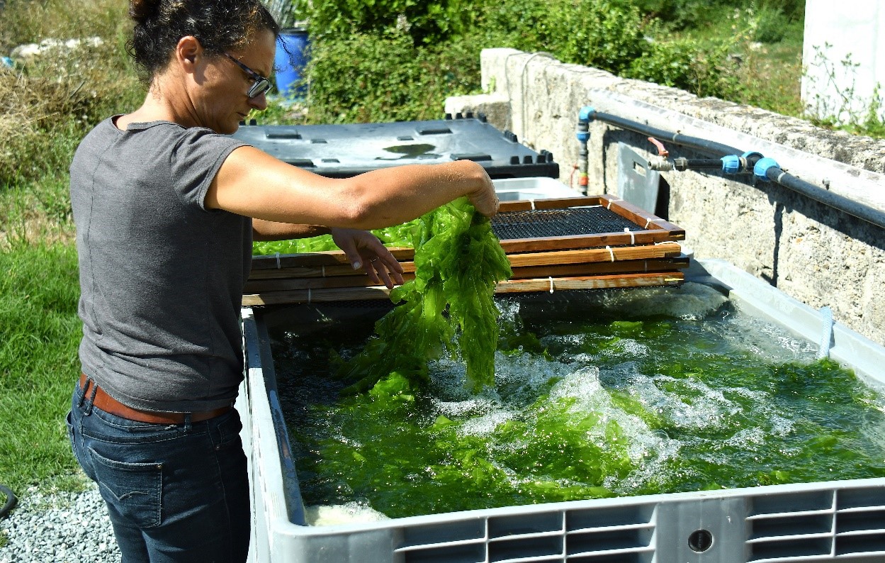 lavage et rinçage a l eau de forage