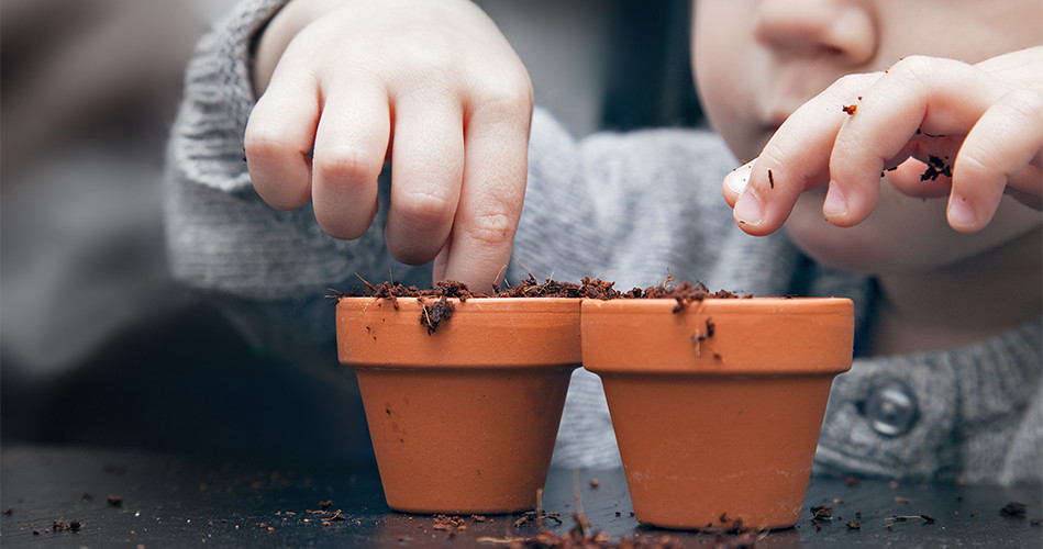 Pour les petites et petits herboristes en herbe Herboristerie de Vannes