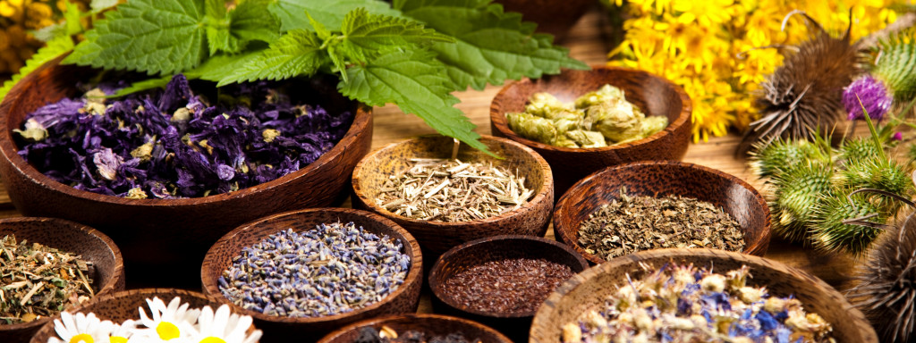 Comment profiter des bienfaits des plantes