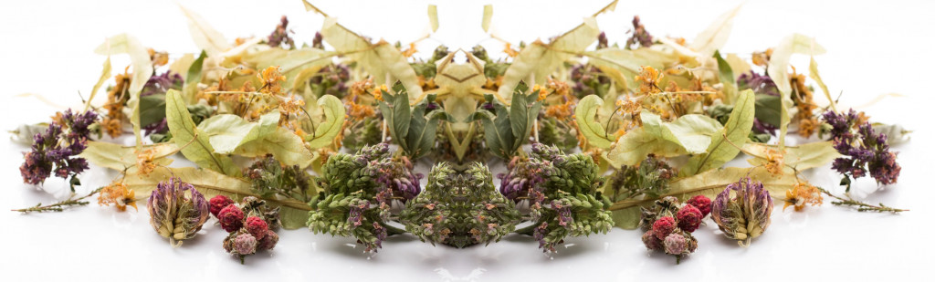 Comment préparer une  tisane pleine de bienfaits ?