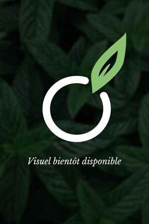 Extrait de plante Ortie BIO (poudre) - 100 G